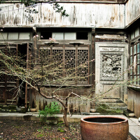 the toy garden圖片照片_the toy garden