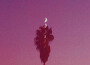 JAKE HOPE最新歌曲_最熱專輯MV_圖片照片