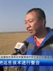 遼寧新聞最新一期線上看_全集完整版高清線上看 - 蟲蟲綜藝