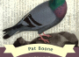 Pat Boone最新歌曲_最熱專輯MV_圖片照片