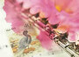 線上熱搜歌曲系列9專輯_小少焱線上熱搜歌曲系列9最新專輯
