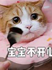 花花與三貓最新一期線上看_全集完整版高清線上看_好看的綜藝