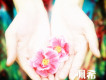 情歌歌曲歌詞大全_傷感情歌_好聽的經典情歌_精選專題