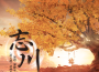 潘修宇歌曲歌詞大全_潘修宇最新歌曲歌詞