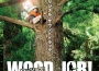 『WOOD JOB!(ウッジョブ)～神去なあなあ日常～』オリジナル・サウンドトラック (『wood 專輯_野村卓史『WOOD JOB!(ウッジョブ)～神去なあなあ日常～』オリジナル・サウンドトラック (『wood 最新專輯