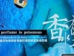 2009網路歌曲歌詞大全_2009網路歌曲歌詞 - 網路歌曲歌詞大全