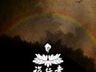 旅行者歌曲歌詞大全_旅行者最新歌曲歌詞