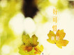 顏陌歌曲歌詞大全_顏陌最新歌曲歌詞