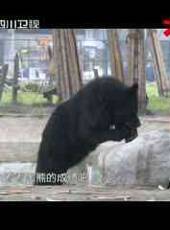 萬萬沒想到最新一期線上看_全集完整版高清線上看_好看的綜藝