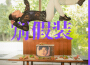 別假裝專輯_劉逸雲 Amber Liu別假裝最新專輯
