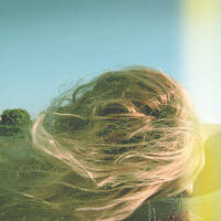 The Golden Filter圖片照片_The Golden Filter