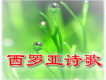 其他專輯歌曲歌詞大全_其他專輯最新歌曲歌詞