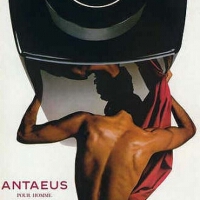 Antaeus歌曲歌詞大全_Antaeus最新歌曲歌詞