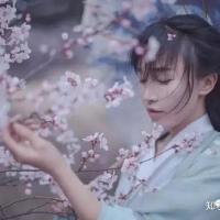 子柒圖片照片_照片寫真
