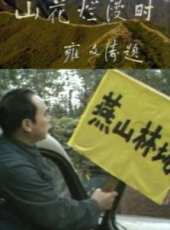 許娣演過的電影電視劇線上看_影視作品大全_好看的明星