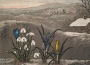 Snowdrop專輯_Herbie MannSnowdrop最新專輯