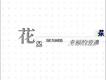 花兒樂隊歌曲歌詞大全_花兒樂隊最新歌曲歌詞