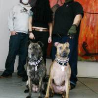 Caninus圖片照片_Caninus