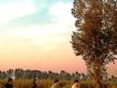 額爾古納樂隊歌曲歌詞大全_額爾古納樂隊最新歌曲歌詞