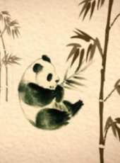 周鳳山演過的電影電視劇線上看_影視作品大全_好看的明星