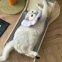 毒雞湯