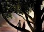 Flipped (Original Motion Picture Soundtrack)專輯_FlippedFlipped (Original Motion Picture Soundtrack)最新專輯