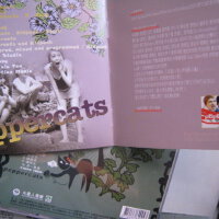 捉迷藏樂團：讓讓＆胡椒貓樂團：小紫圖片照片_捉迷藏樂團：讓讓＆胡椒貓樂團：小紫