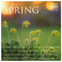 Austrian Radio Symphony Orchestra最新歌曲_最熱專輯MV_圖片照片