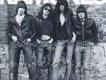 The Ramones[雷蒙斯]圖片照片_照片寫真