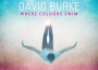 The Wonders of His Love專輯_David BurkeThe Wonders of His Love最新專輯