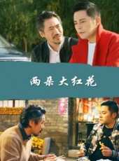最新2017內地電影_2017內地電影大全/排行榜_好看的電影