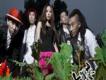 大買麥樂團歌曲歌詞大全_大買麥樂團最新歌曲歌詞