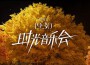 袁婭維TIA RAY歌曲歌詞大全_袁婭維TIA RAY最新歌曲歌詞