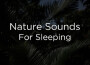 Organic Nature Sounds