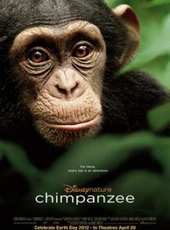 黑猩猩線上看_高清完整版線上看_好看的電影