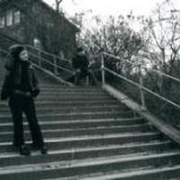 Laurel   Music圖片照片_Laurel   Music