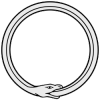 Ouroboros圖片照片_Ouroboros