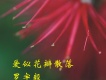 羅宇毅歌曲歌詞大全_羅宇毅最新歌曲歌詞