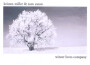 Tom Eaton最新歌曲_最熱專輯MV_圖片照片