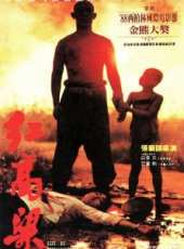 鞏俐演過的電影電視劇線上看_影視作品大全_好看的明星