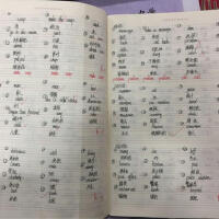 文靖寧最新專輯_新專輯大全_專輯列表