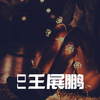 DJ王展鵬專輯_DJ王展鵬DJ王展鵬最新專輯