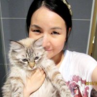 寶美圖片照片_寶美