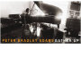 Gather Up專輯_Peter Bradley AdamsGather Up最新專輯