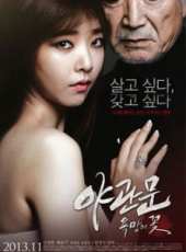 最新2013韓國電影_2013韓國電影大全/排行榜_好看的電影