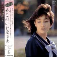 柏原芳恵圖片照片_柏原芳恵