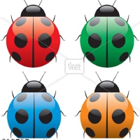 LADY BiRD圖片照片_LADY BiRD