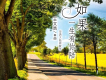 王文浩歌曲歌詞大全_王文浩最新歌曲歌詞