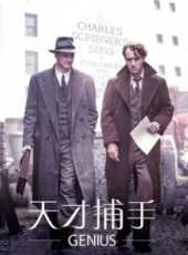 科林·費斯演過的電影電視劇線上看_影視作品大全_好看的明星