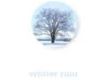 Winter Rain